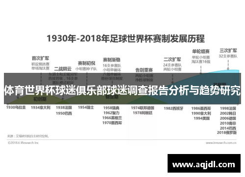 体育世界杯球迷俱乐部球迷调查报告分析与趋势研究