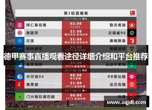 德甲赛事直播观看途径详细介绍和平台推荐