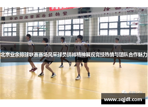 北京业余排球联赛赛场风采球员拼搏精神展现竞技热情与团队合作魅力
