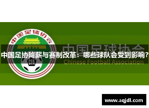 中国足协降薪与赛制改革：哪些球队会受到影响？