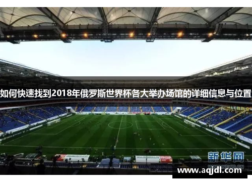 如何快速找到2018年俄罗斯世界杯各大举办场馆的详细信息与位置
