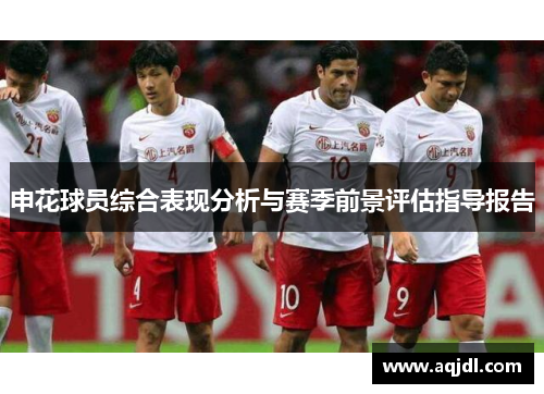 申花球员综合表现分析与赛季前景评估指导报告