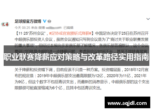 职业联赛降薪应对策略与改革路径实用指南