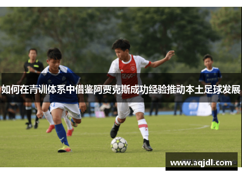 如何在青训体系中借鉴阿贾克斯成功经验推动本土足球发展