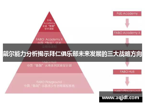 戴尔能力分析揭示拜仁俱乐部未来发展的三大战略方向