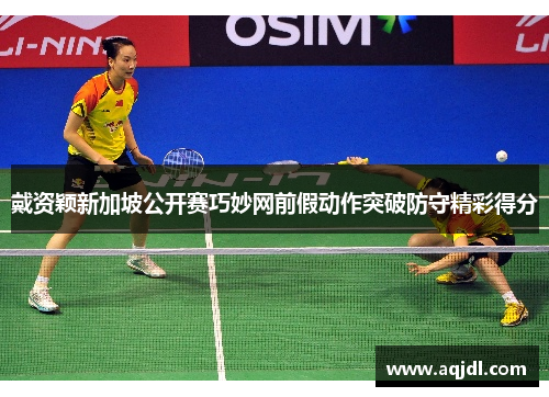 戴资颖新加坡公开赛巧妙网前假动作突破防守精彩得分