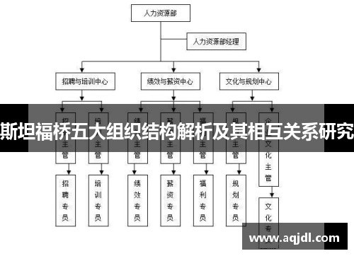 斯坦福桥五大组织结构解析及其相互关系研究